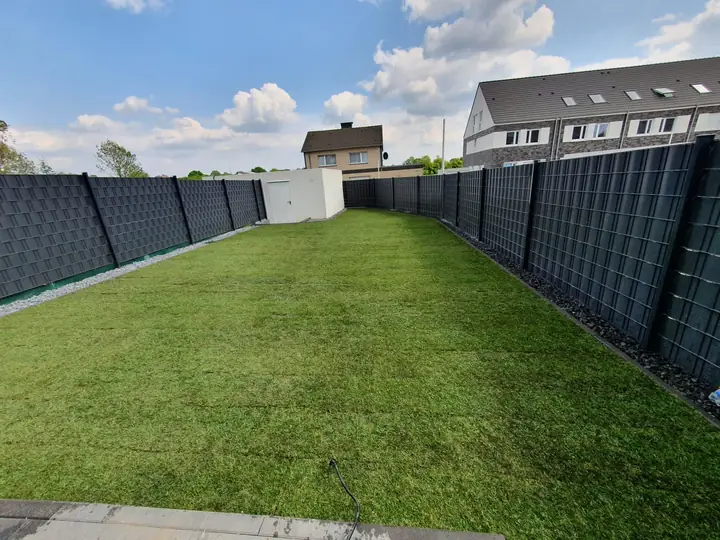 Frisch verlegter Premium-Rollrasen mit sauberer Randeinfassung hinter einer Zaunanlage