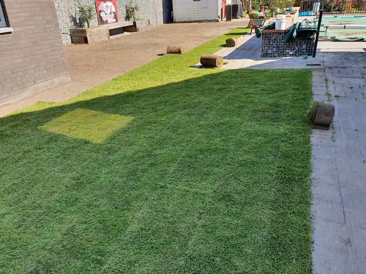 Frisch verlegter, dichter Rollrasen mit direktem Anschluss an die Terrassenfläche