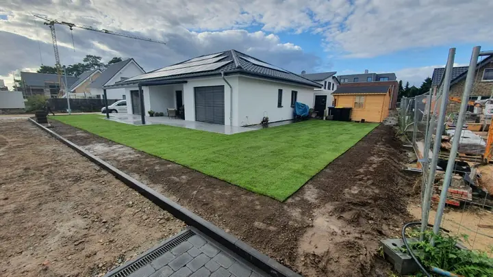 Präzise verlegter Rollrasenstreifen am Hausanschluss auf vorbereitetem Erdplanum